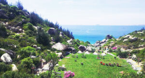 trung lương quy nhơn - hapiha travel