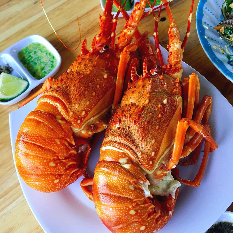 du lịch quy nhơn giá rẻ